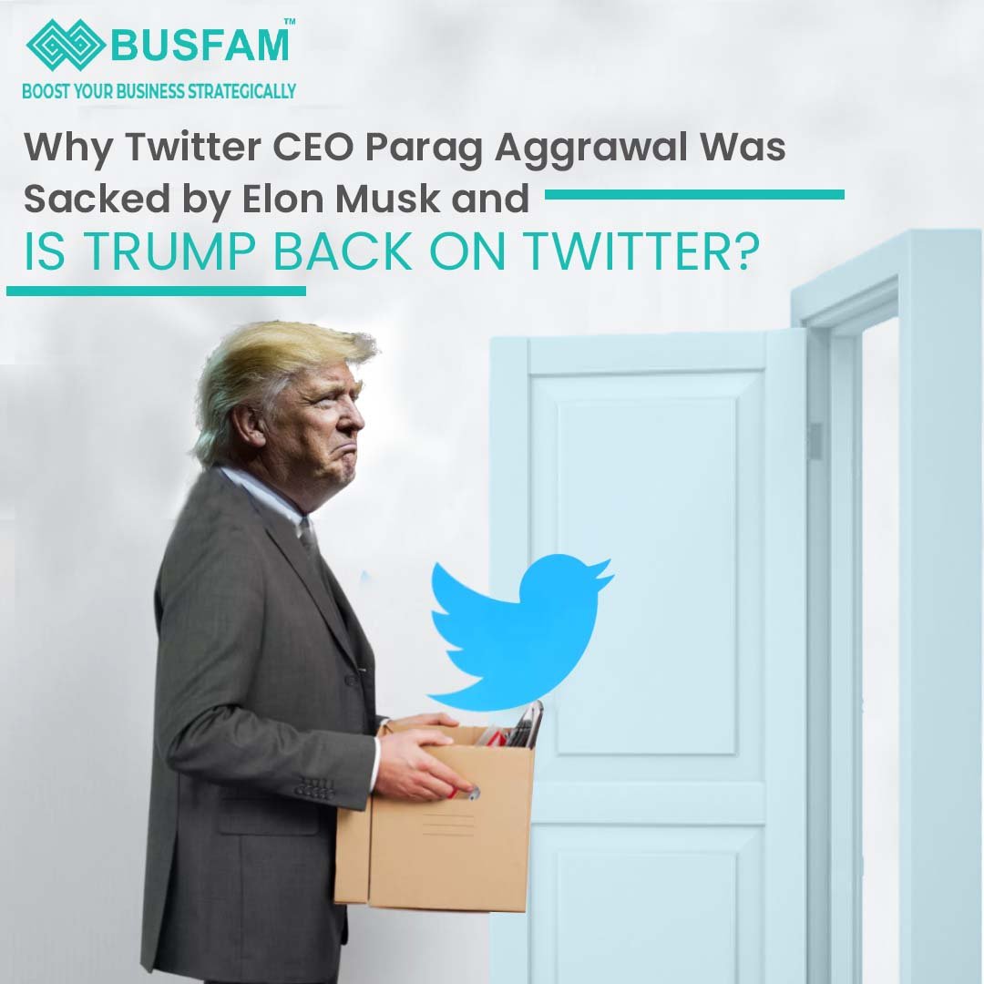 Why Twitter CEO Parag Aggrawal Was Sacked by Elon Musk and Is Trump Back on Twitter?
