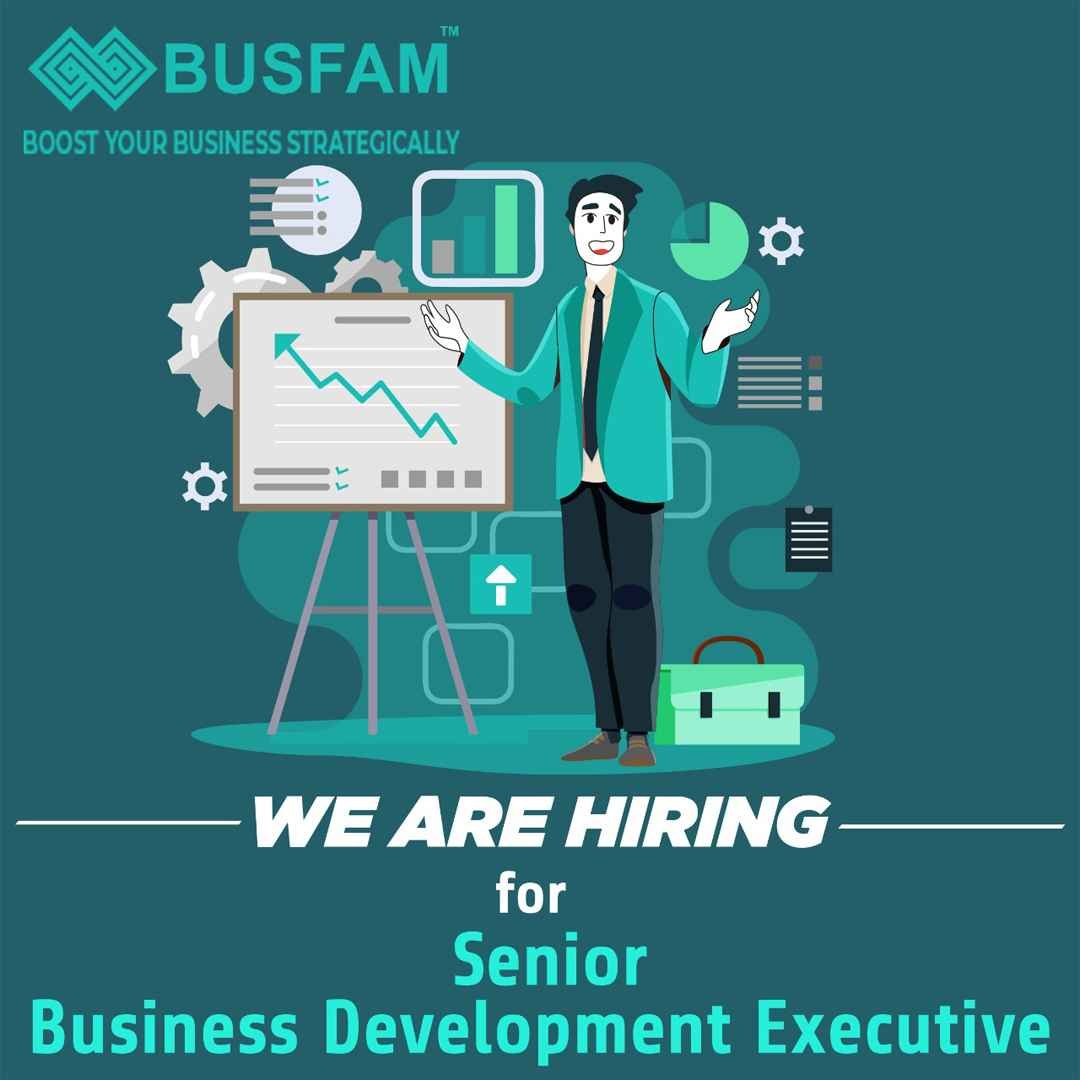 senior-business-development-executive