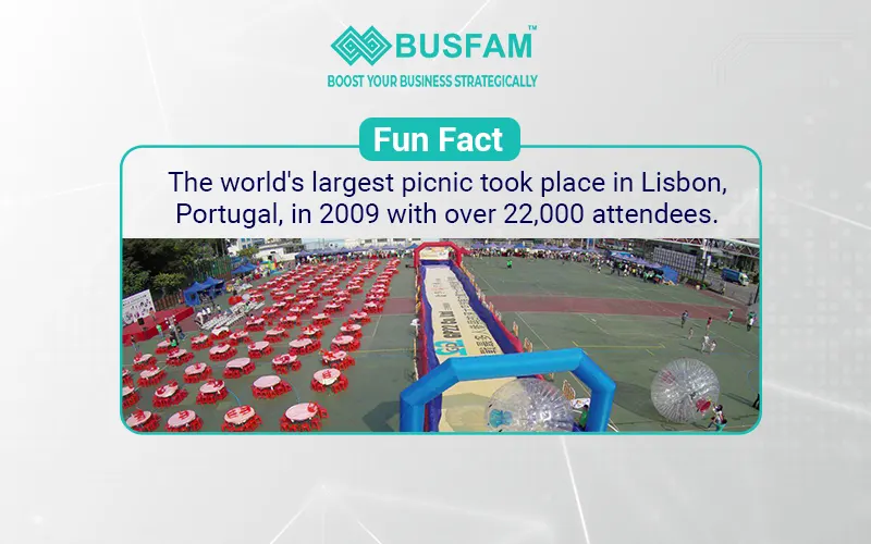 social Media Marketing Agency in kolkata