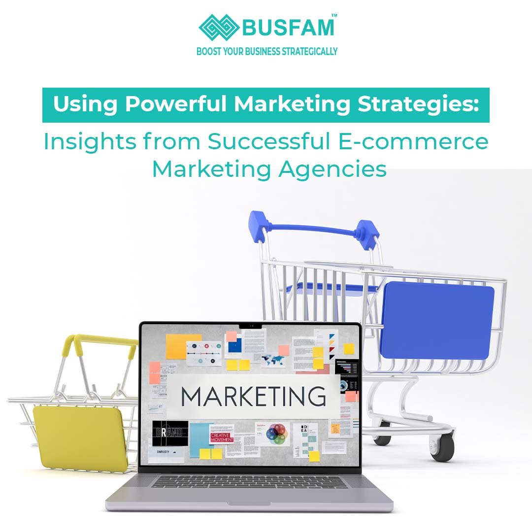 Using Powerful Marketing Strategies: Insights from Successful E-commerce Marketing Agencies