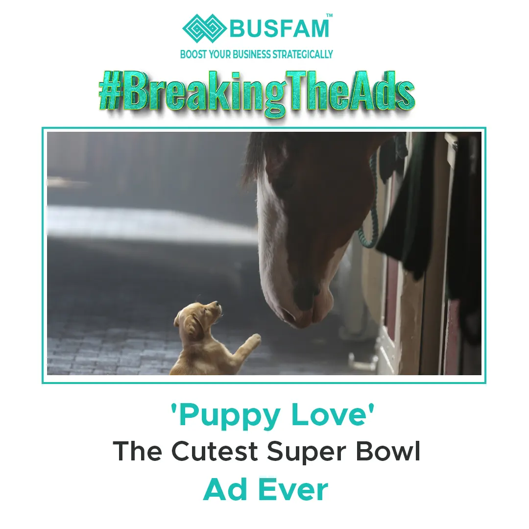 'Puppy Love' The Cutest Super Bowl Ad Ever
